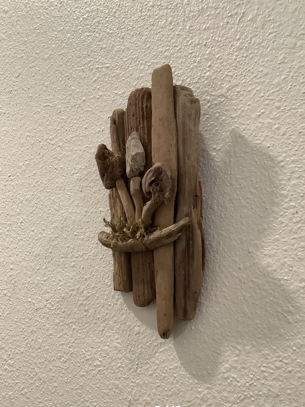 Driftwood Art , Driftwood Mushrooms, Mushroom Art, Driftwood Coastal Decor - Picture 3 of 5